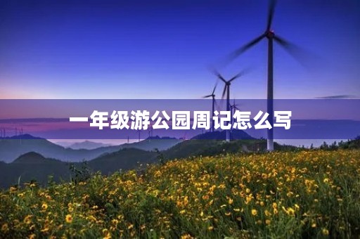 一年级游公园周记怎么写