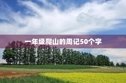 一年级爬山的周记50个字