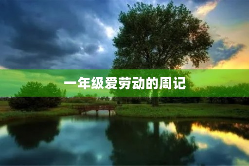 一年级爱劳动的周记