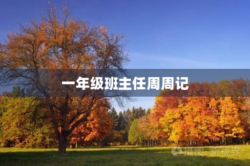 一年级班主任周周记