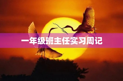 一年级班主任实习周记