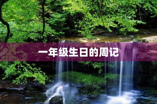 一年级生日的周记 一年级生日的周记