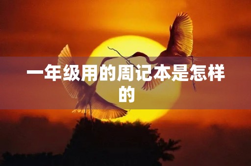 一年级用的周记本是怎样的 一年级用的周记本是怎样的