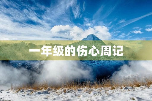 一年级的伤心周记 一年级的伤心周记