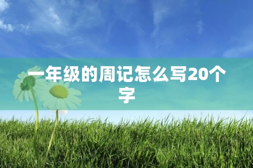一年级的周记怎么写20个字