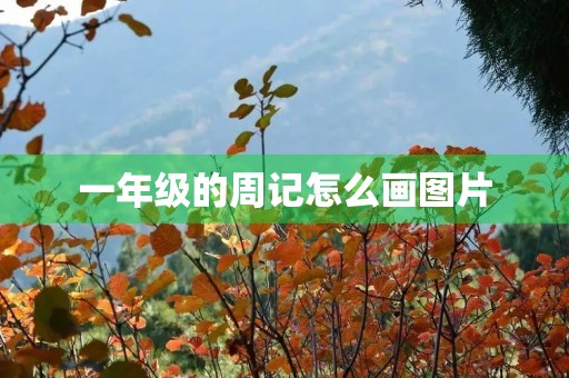 一年级的周记怎么画图片
