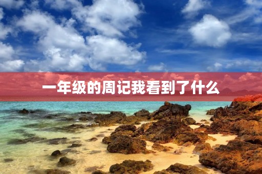 一年级的周记我看到了什么 一年级的周记我看到了什么