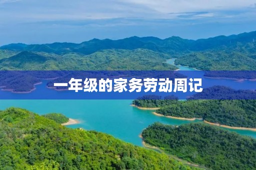 一年级的家务劳动周记
