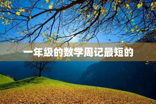 一年级的数学周记最短的