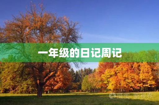 一年级的日记周记 一年级的日记周记