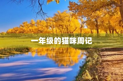 一年级的猫咪周记 一年级的猫咪周记
