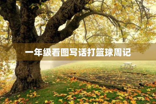 一年级看图写话打篮球周记 一年级看图写话打篮球周记