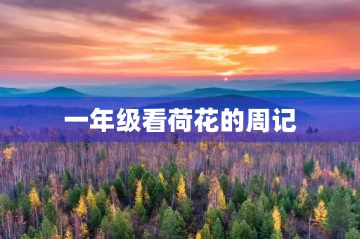 一年级看荷花的周记