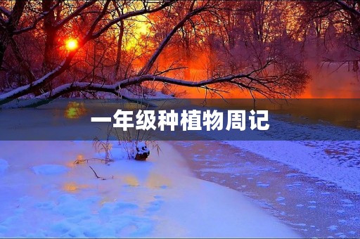一年级种植物周记