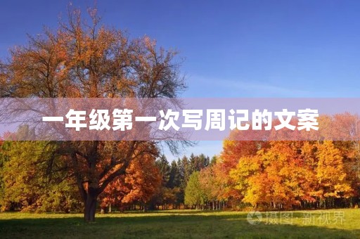 一年级第一次写周记的文案