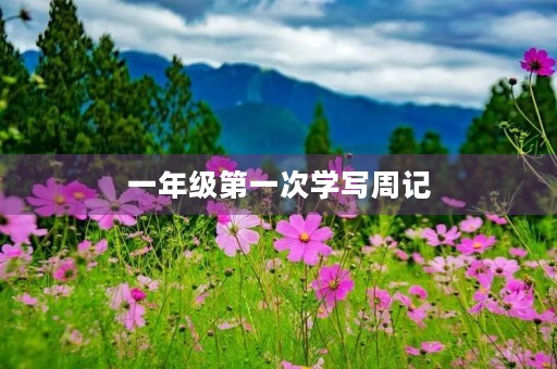 一年级第一次学写周记