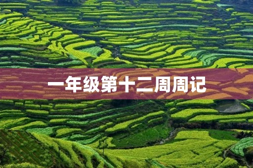 一年级第十二周周记 一年级第十二周周记