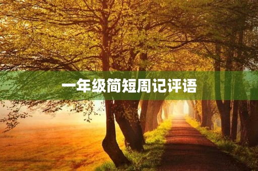 一年级简短周记评语