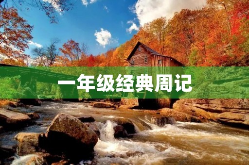 一年级经典周记 一年级经典周记