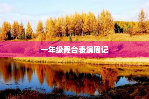 一年级舞台表演周记 一年级舞台表演周记