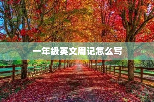 一年级英文周记怎么写