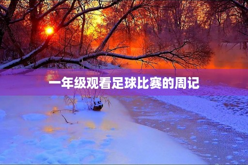 一年级观看足球比赛的周记