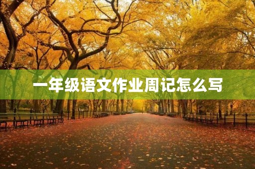 一年级语文作业周记怎么写
