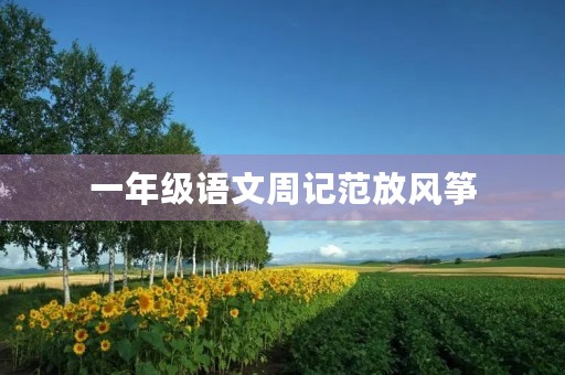 一年级语文周记范放风筝