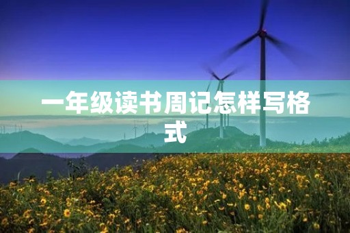 一年级读书周记怎样写格式 一年级读书周记怎样写格式