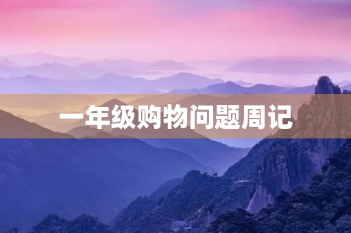 一年级购物问题周记