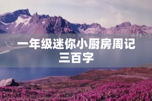 一年级迷你小厨房周记三百字