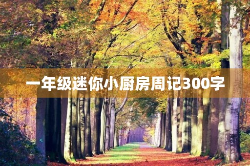 一年级迷你小厨房周记300字 一年级迷你小厨房周记300字