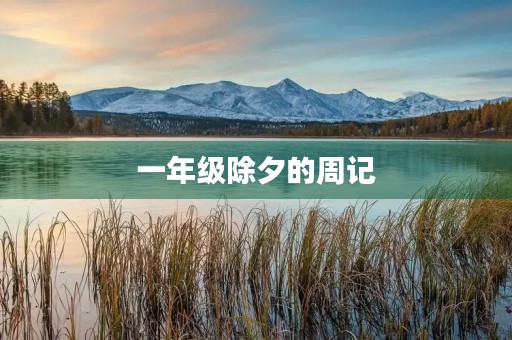 一年级除夕的周记