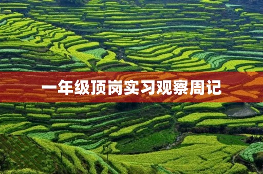 一年级顶岗实习观察周记 一年级顶岗实习观察周记