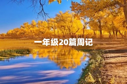 一年级20篇周记 一年级20篇周记