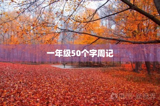一年级50个字周记