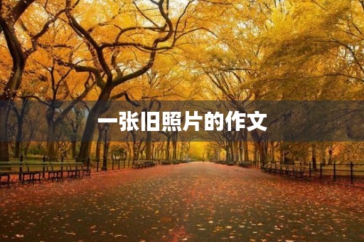 一张旧照片的作文