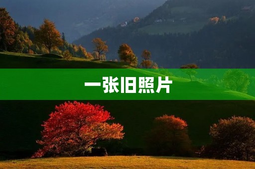 一张旧照片,重温过去的记忆 一张旧照片,重温过去的记忆