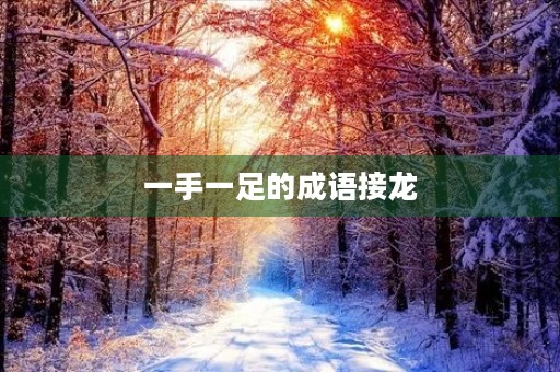 一手一足的成语接龙