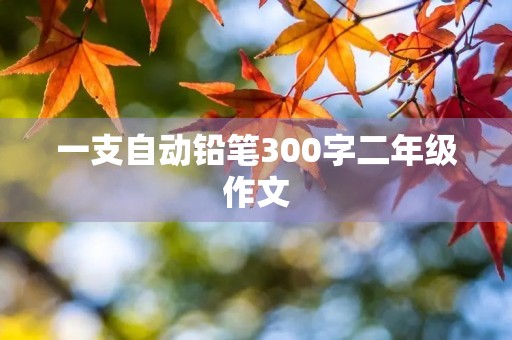 一支自动铅笔300字二年级作文 一支自动铅笔300字二年级作文