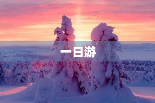 一日游，走进城市的怀抱