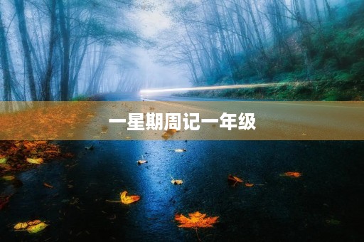 一星期周记一年级
