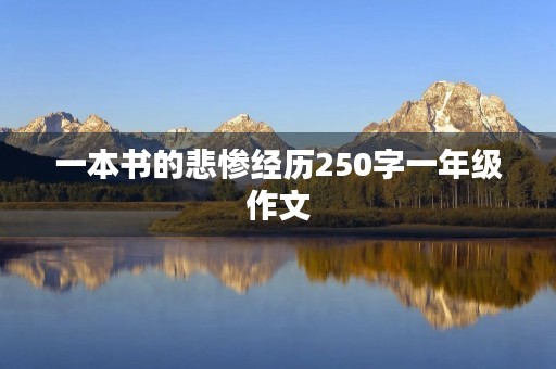 一本书的悲惨经历250字一年级作文