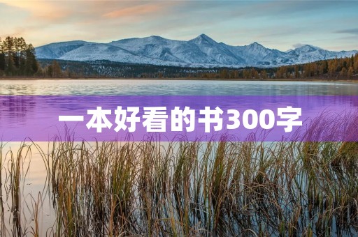 一本好看的书300字 一本好看的书300字