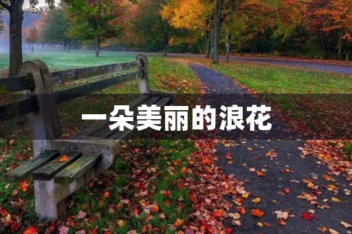 一朵美丽的浪花 一朵美丽的浪花