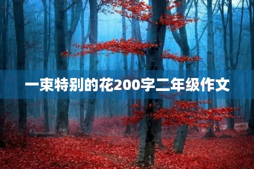 一束特别的花200字二年级作文