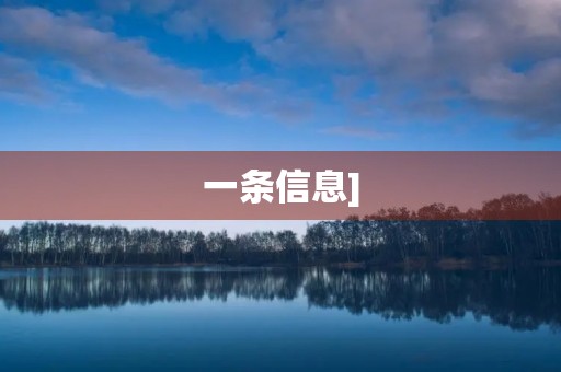 一条信息]