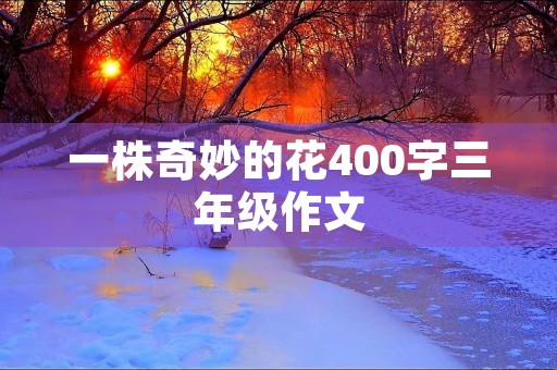 一株奇妙的花400字三年级作文