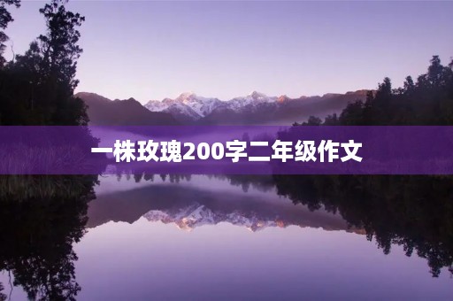 一株玫瑰200字二年级作文 一株玫瑰200字二年级作文