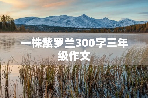 一株紫罗兰300字三年级作文 一株紫罗兰300字三年级作文